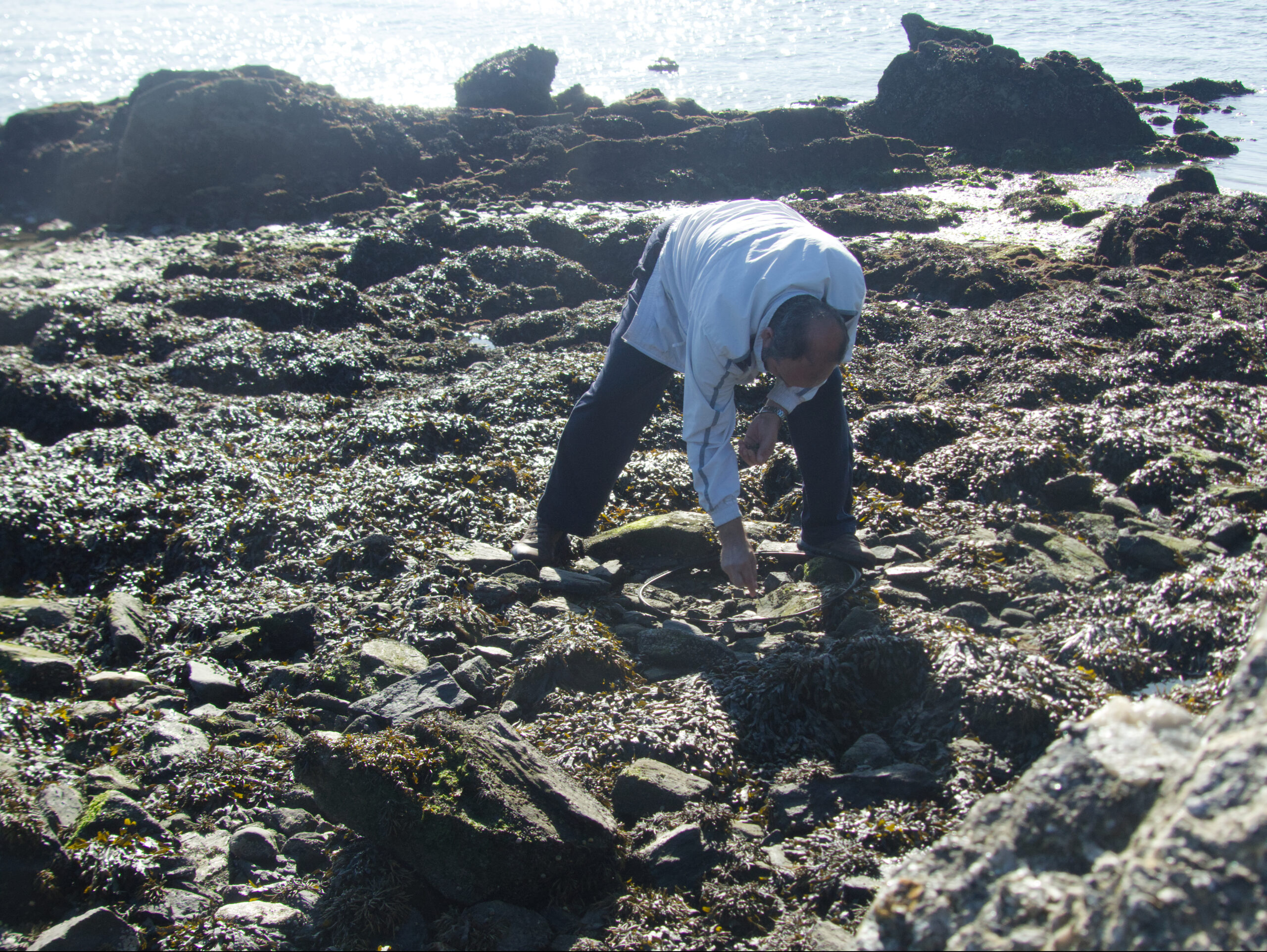 Field work
